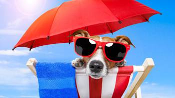 Dal costume alla dentiera, ecco gli oggetti più dimenticati in spiaggia
