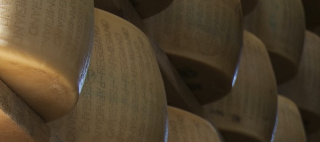 Nasce a Reggio Emilia il corso pratico (e gratuito) per diventare casaro del Parmigiano Reggiano