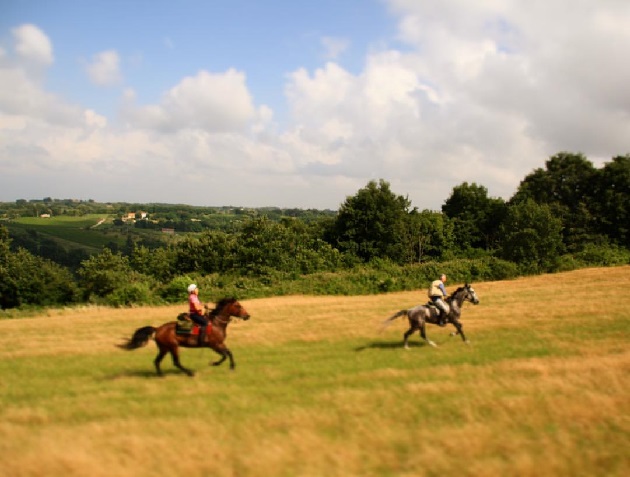 Turismo a cavallo. Scoprire bellezze, eccellenze e luoghi inediti del Belpaese viaggiando in armonia con la natura