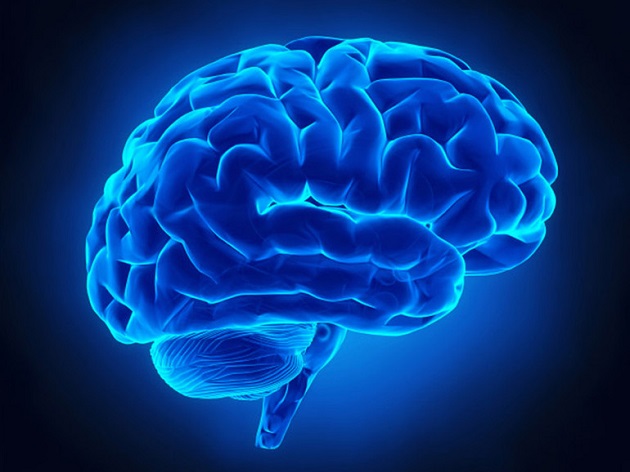 Quando il cervello si sorprende