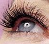 CIGLIA IN PRIMO PIANO CON I MASCARA  ALLA LIQUIRIZIA BIO