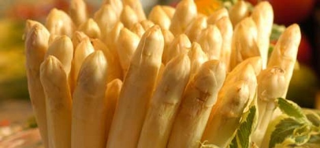 Torna sovrano l’asparago di Cimadolmo