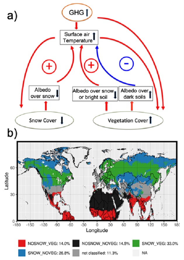 Neve e vegetazione modulano il riscaldamento climatico