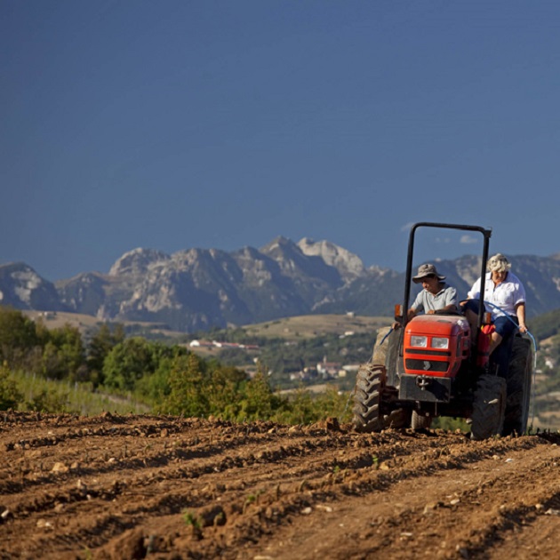 Valpolicella Ripasso Superiore Campi Magri 2014