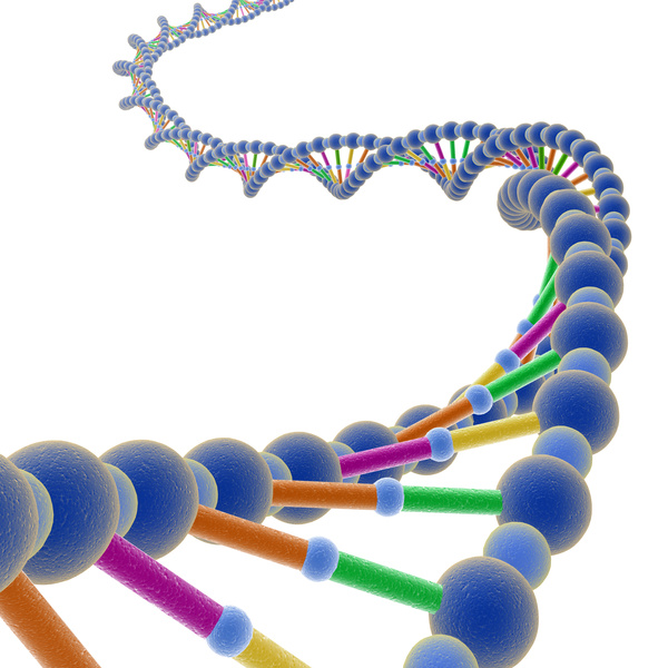 Novità: test di analisi genetica disponibile online