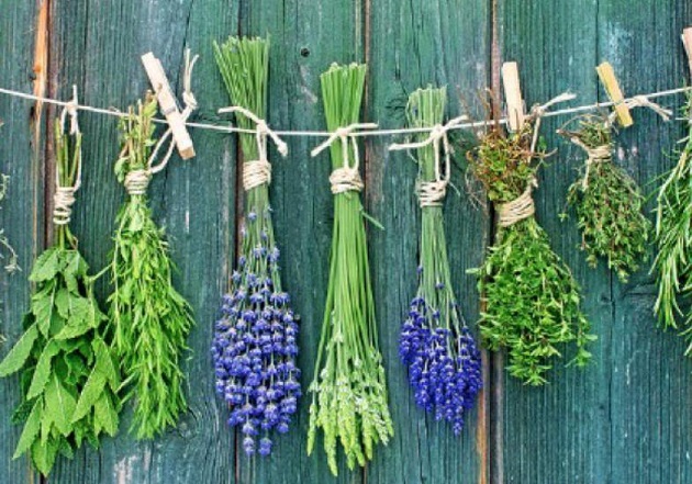 Lana e i suoi dintorni celebrano le Erbe selvatiche