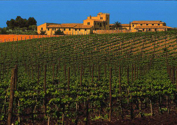 La dolce vita. Il fascino del Feudo di Butera, madre orgogliosa di pregiatissimi vini