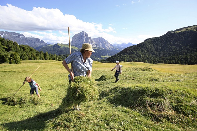 Vivere 100 anni. Dal taglio del fieno al giaciglio in quota in val Gardena