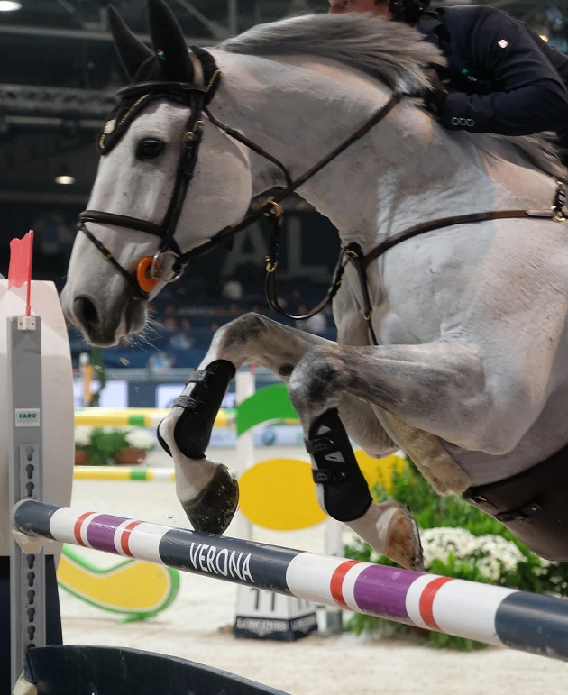 Debutta il Gran Premio Fieracavalli