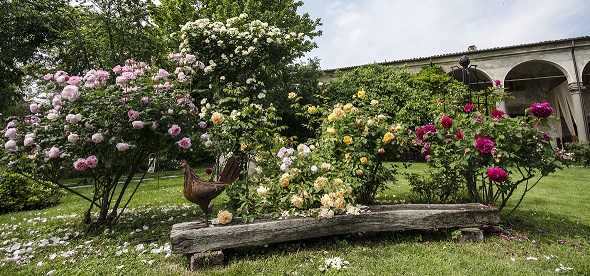 “Flower Market”: piante, fiori, arredo e handmade a tema floreale