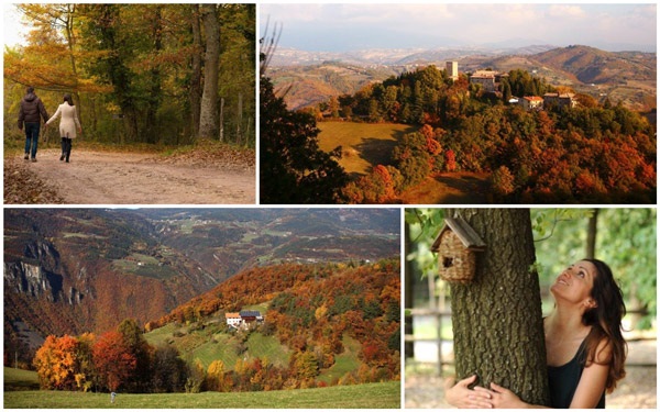 Foliage, l’autunno che sorprende
