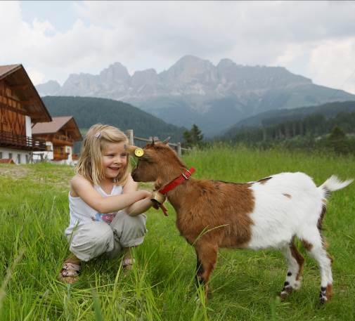 Andar per formaggi in alto adige