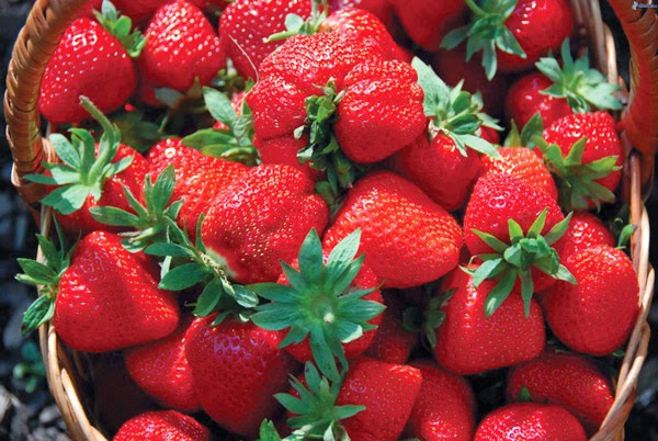 A Nemi la celebre Sagra delle Fragole