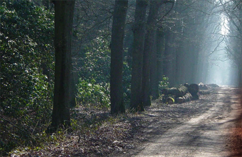 L’antica via Francigena