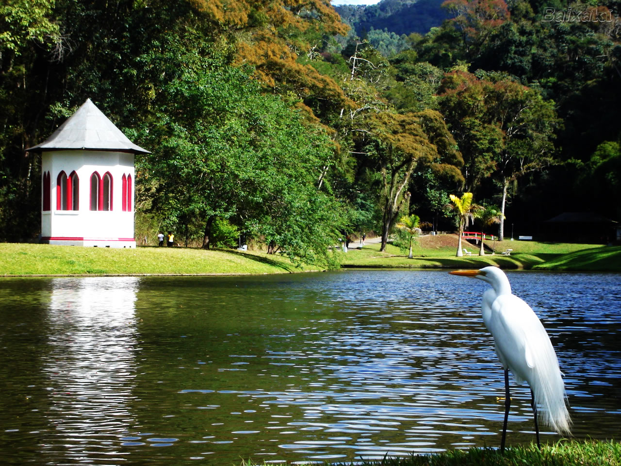 Estate di divertimento e joie de vivre a Friburgo