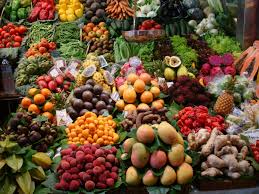 Bufale online e alimentazione, emergono dati inquetanti