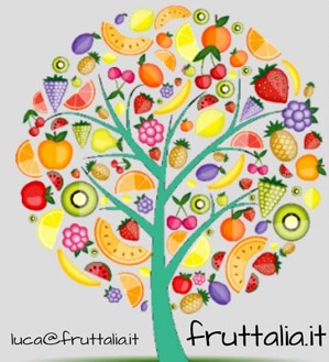 “Aliment-Amiamoci” nel bosco