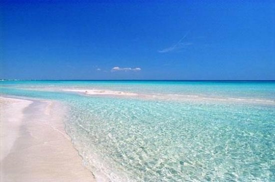 Dalla Liguria alla Sicilia. 134 spiagge ideali per gli under 18