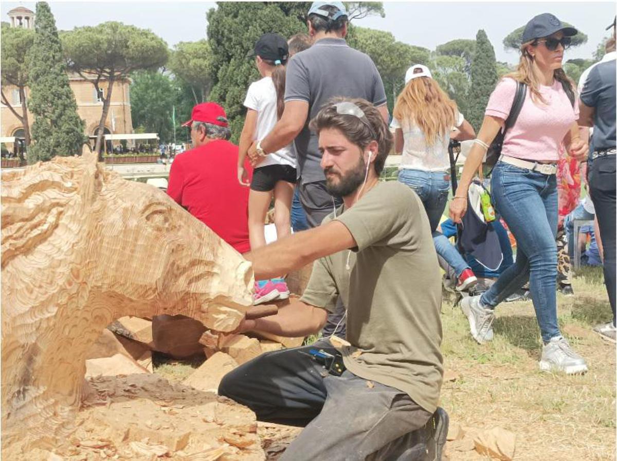 Roma: albero abbattuto a Piazza di Siena diventa opera d’arte