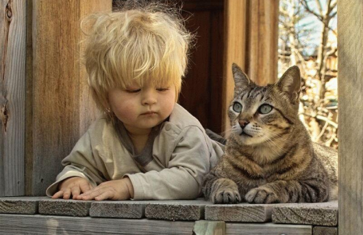 Cani e gatti non sono solo i migliori amici dei bambini