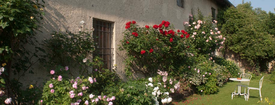 “Hortus Amoenissimus” Solstizio d’estate a Castello Quistini