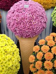 Chelsea Flower Show, anche quest’anno la corsa al biglietto