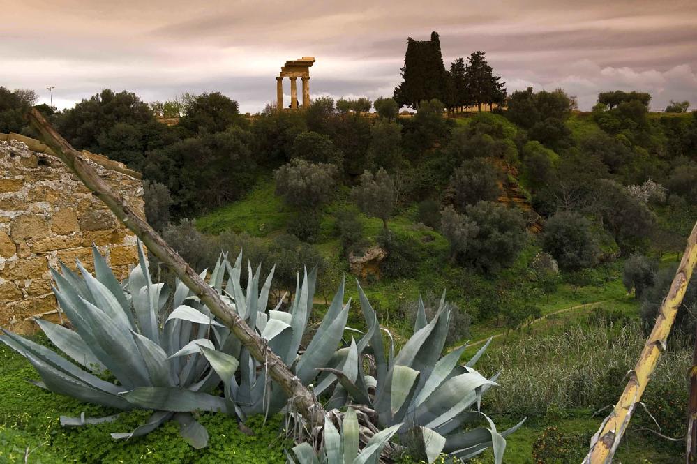 La grande bellezza. Antichi profumi di zagara nel Giardino della Kolymbethra