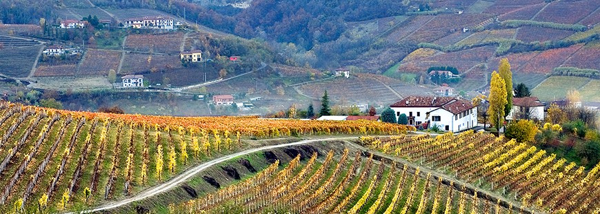 Itinerari d’autunno tra funghi, castagne, tartufi e ultimi scampoli d’estate