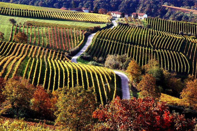 Notturni sulla strada romantica