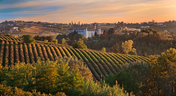 Nelle Langhe, la Truffle Experience multisensoriale