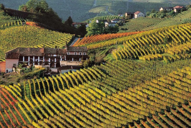 Conoscere il mondo. Luoghi, libri, vini, ricette…è tempo di Langhe