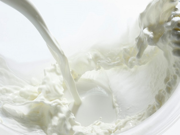 Latte d’asina per i neonati prematuri