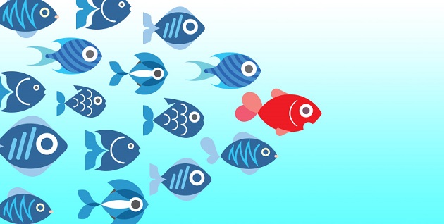 Dimmi che capo sei…