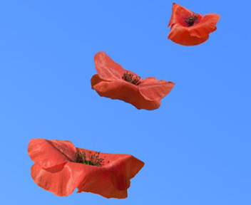 ARTS PLASTIQUES: 55° Salone d’Arte Contemporanea