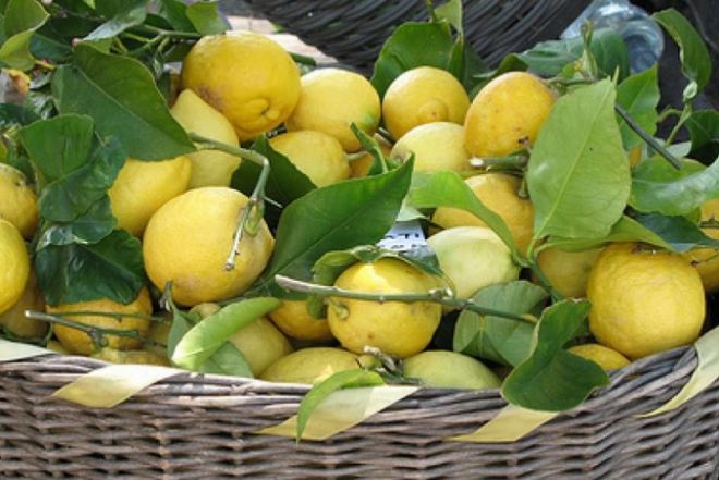 Limonata alla menta, limonata al sale