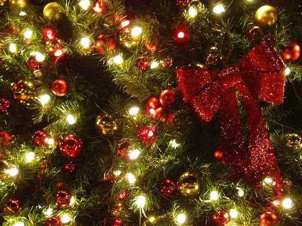 Natale Romano. 9000 led illuminano gli alberi di Piazza Venezia e del Colosseo