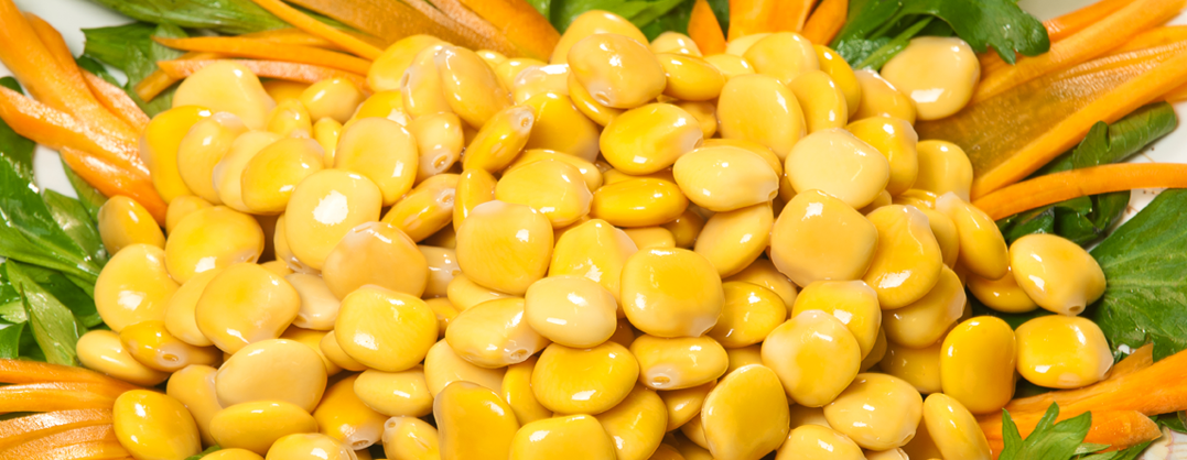 I lupini e il rischio allergia
