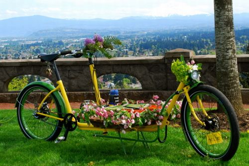 CELEBRATO IL PRIMO MATRIMONIO ECOLOGICO IN ITALIA