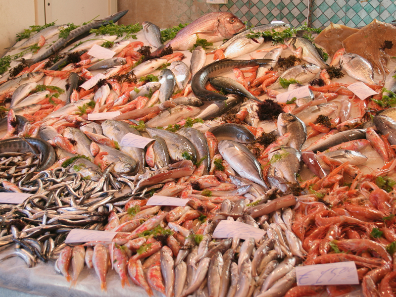 Video. Operazione “Labyrinth”, sequestrati oltre 120 tonnellate di prodotti ittici illegali