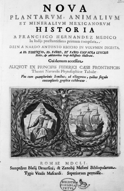 Il Tesoro messicano