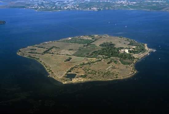 SiciliAntica organizza una visita guidata all’isola di Mozia