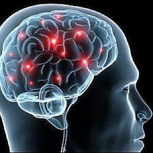 Il segreto del multitasking è racchiuso nel cervello