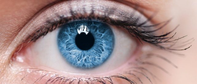 Proteggere la vista con coenzima q10, omega-3, catechine del cioccolato
