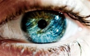 OMS: 80% dei disturbi visivi è evitabile