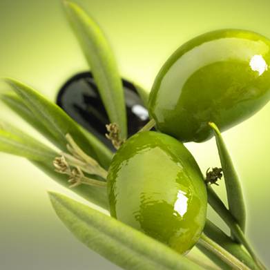 Olio extra vergine di oliva protagonista della dieta mediterranea