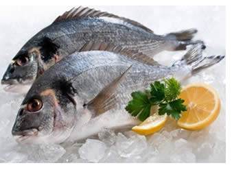Natale. Pesce d’allevamento o di mare? Consigli per gli acquisti