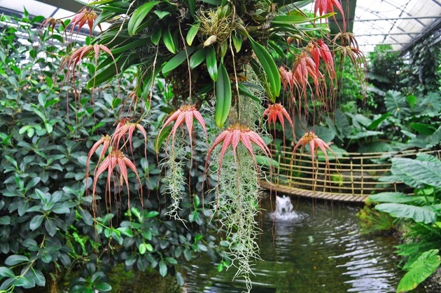 Matrimonio chic nella villa tropicale dell’Orchideenwelt