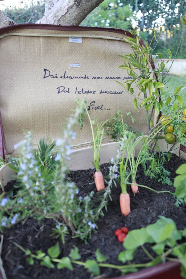 “Un ORTO nella calza”