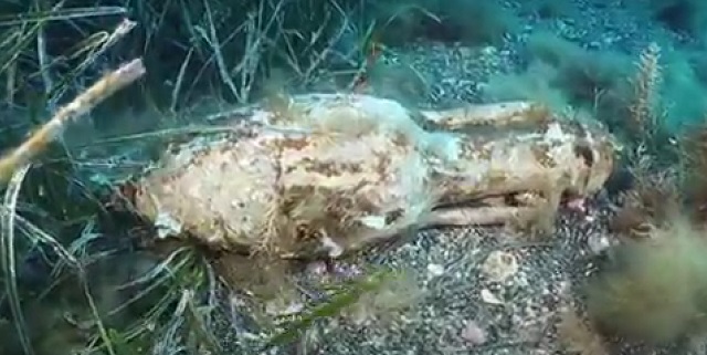 Pantelleria: ripristinati i percorsi archeologici subacquei  di Cala Gadir e di Punta Tracino. Ripartono le visite