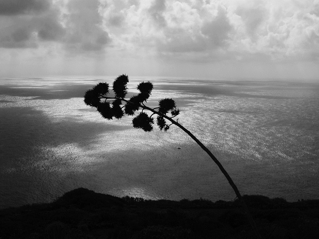 Pantelleria: il rumore del silenzio